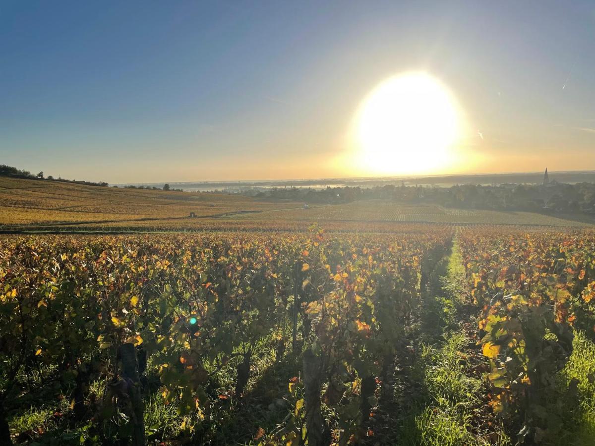 Le Clos De Miribel Givry  Ngoại thất bức ảnh